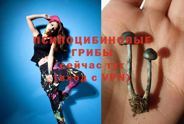 хмурый Осинники