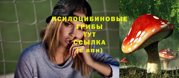 круглые Пересвет