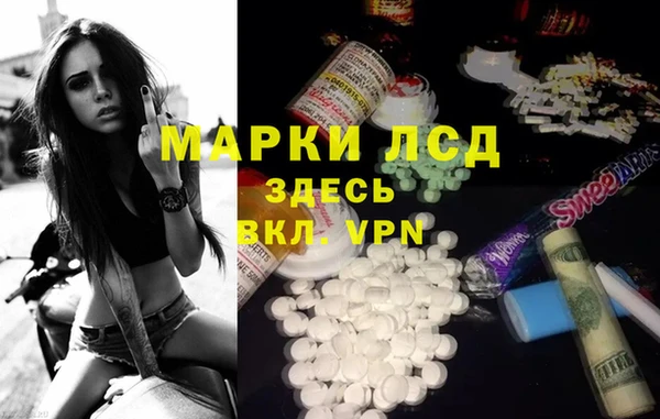 стаф Пестово