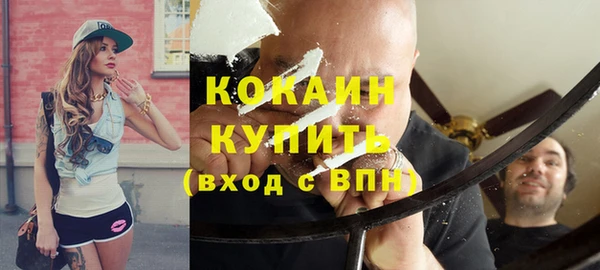 круглые Пересвет