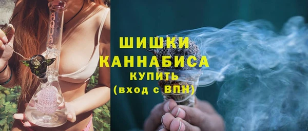 хмурый Осинники