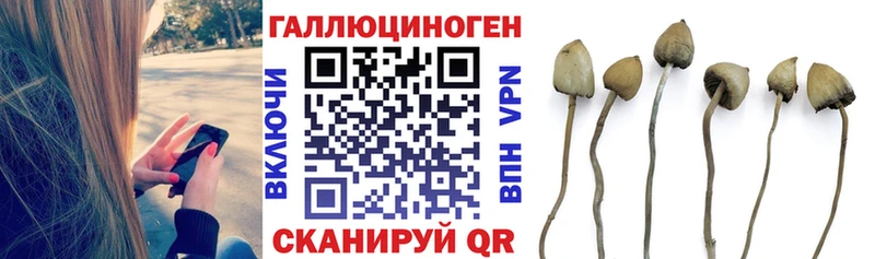 Галлюциногенные грибы GOLDEN TEACHER Слюдянка
