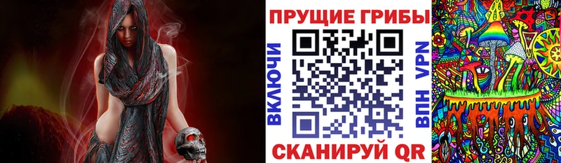 это наркотические препараты хочу наркоту mega Слюдянка Галлюциногенные грибы прущие грибы